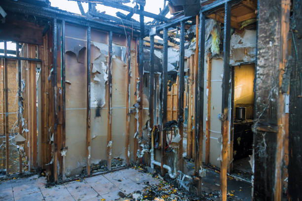 Professional Fire Damage Removal technician working in Edneyville, NC